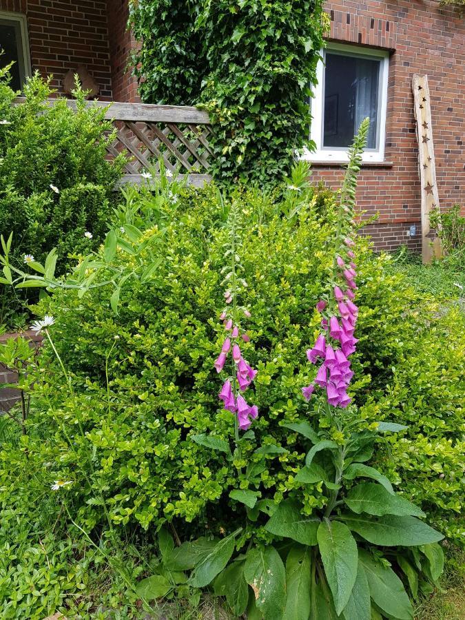 Ferienwohnung Im Naturgarten Schneverdingen Exterior photo